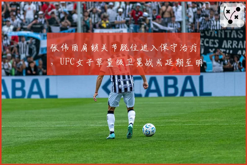 张伟丽肩锁关节脱位进入保守治疗,UFC女子草量级卫冕战或延期至明年