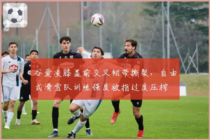 谷爱凌膝盖前交叉韧带撕裂，自由式滑雪队训练强度被指过度压榨